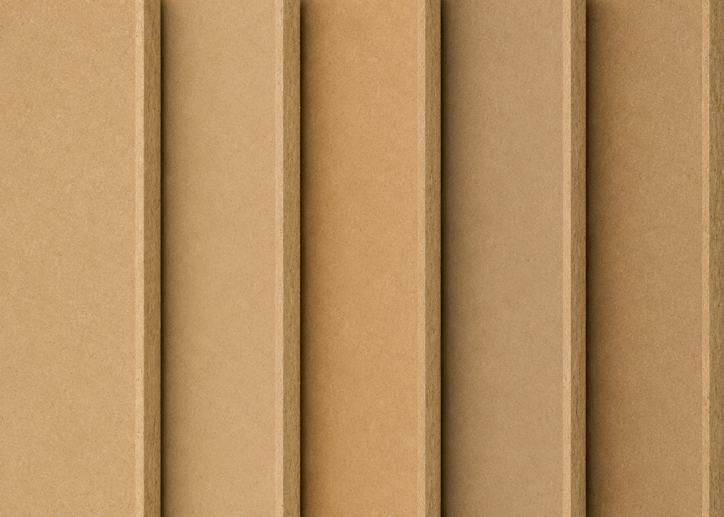mdf gymno