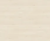 1220835.png