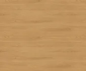 1220838.png