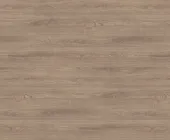 1220846.png