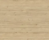 1220849.png