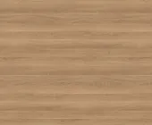 1638640.png