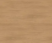 1677907.png