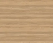 1701919.png
