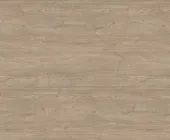 1711300.png