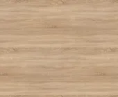 1880757.png