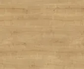 1880876.png