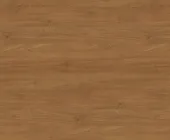 1881140.png