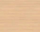 1881242.png