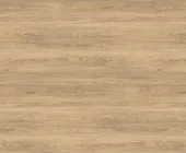 1888493.png