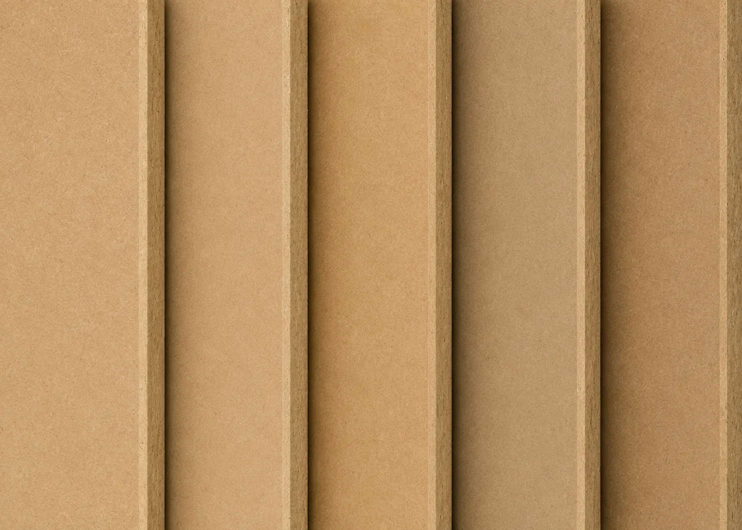 mdf gymno